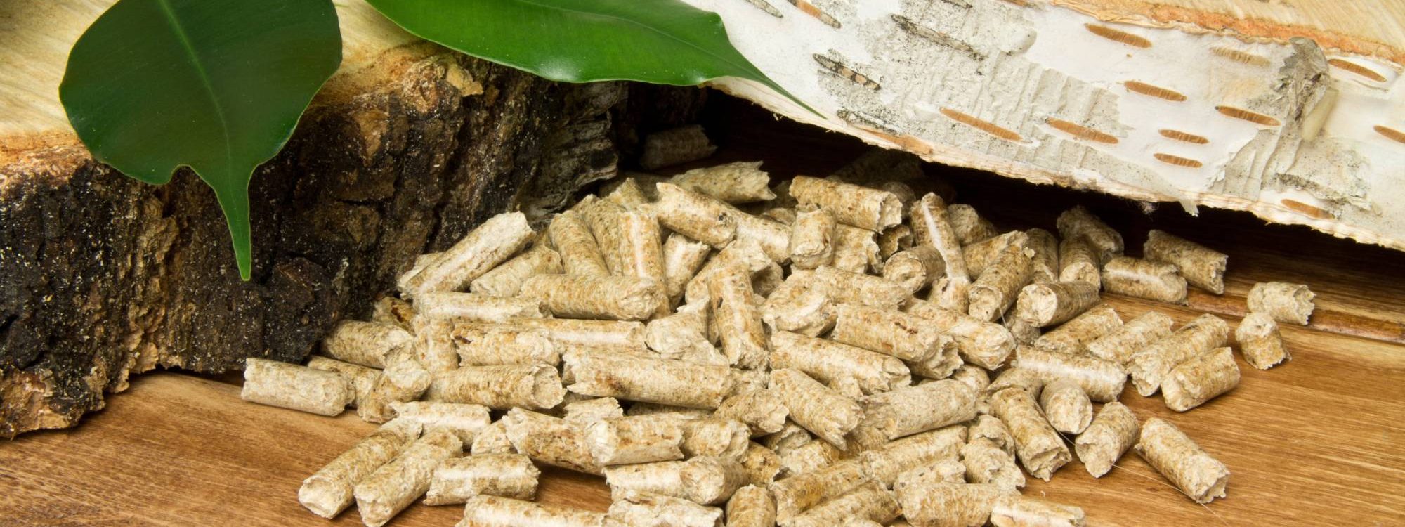 Comment nettoyer un poêle à pellets ? Bischheim