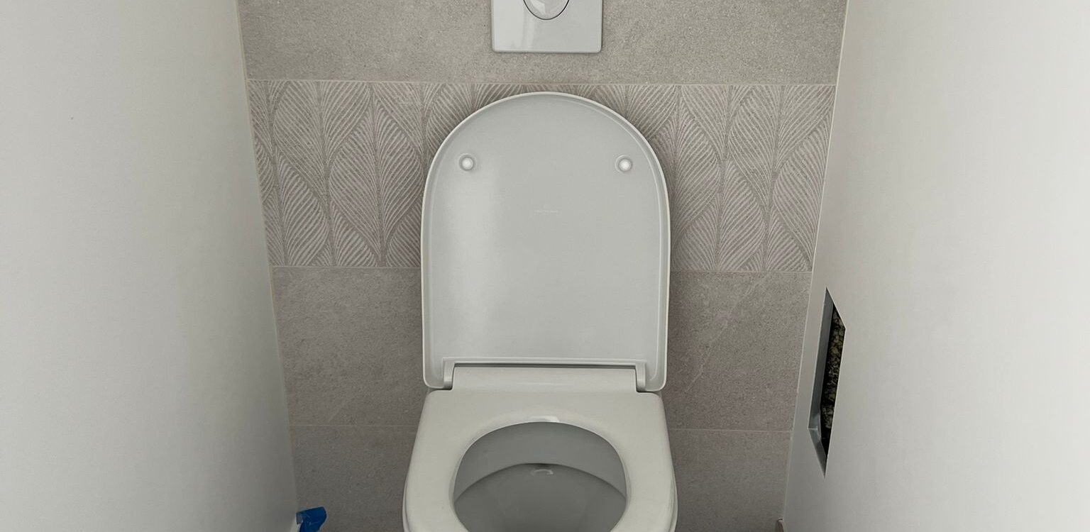 Remplacement d’un lave-mains et de WC à Molsheim Saverne